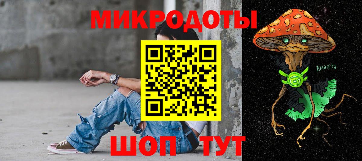 Псилоцибиновые грибы Psilocybe Малгобек