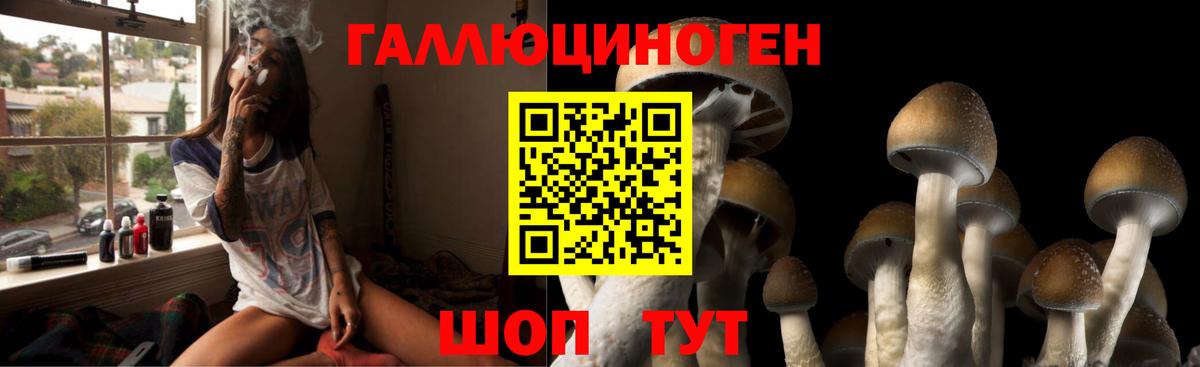 Малгобек  Псилоцибиновые грибы Psilocybine cubensis  Галлюциногенные грибы Psilocybe  Вход с VPN 