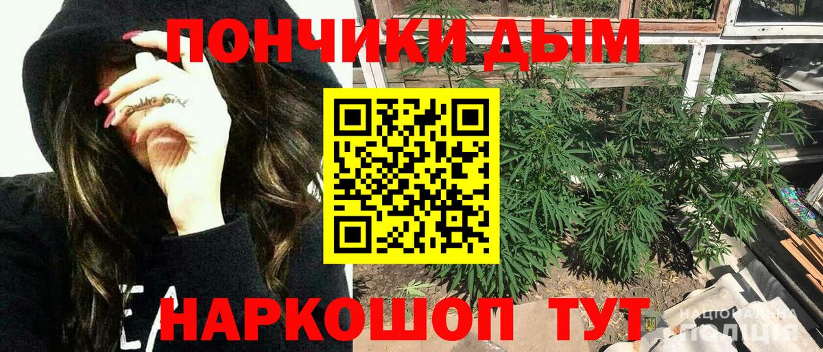 Бошки Шишки VHQ Малгобек